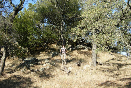 click for larger picture