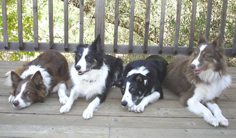 click for goofy version