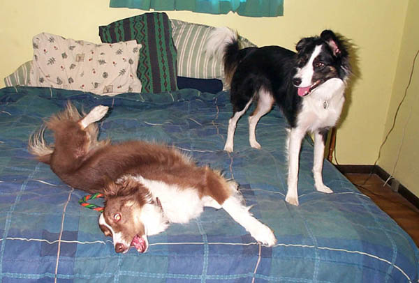 DCP_0525.jpg (Aug 2002)