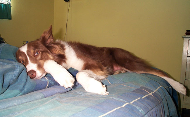 DCP_0536.jpg (Aug 2002)