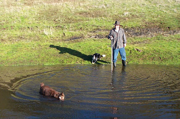 DCP_0674.jpg (Dec 2002)