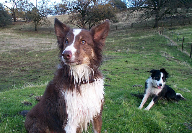 DCP_0678.jpg (Dec 2002)