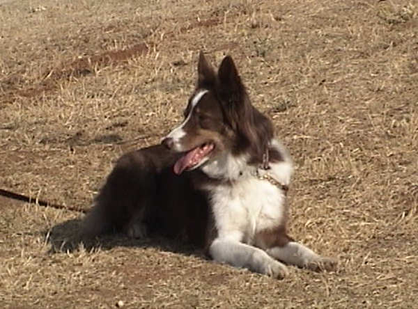 DSC00117.JPG (Aug 2002)