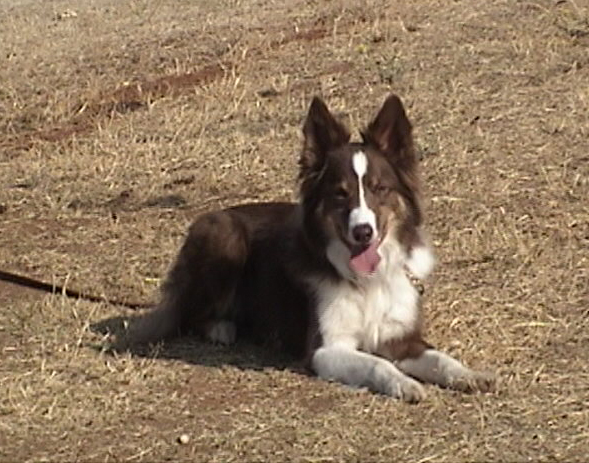 DSC00118.JPG (Aug 2002)