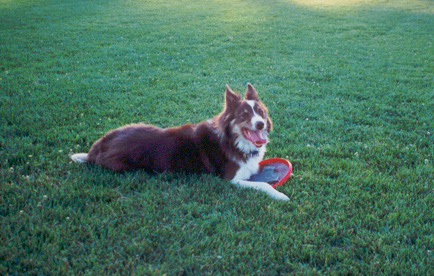 pant pant (July 2000)