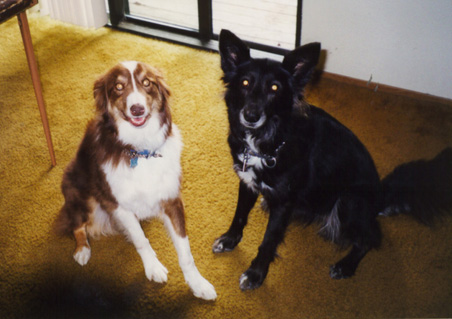 you have no idea how hard it was to get this shot (Mar 1999)