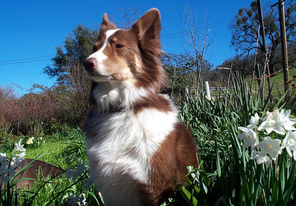 P1000770.jpg (Feb 2003)