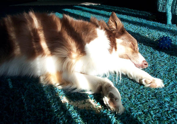 P1000849.jpg (Mar 2003)