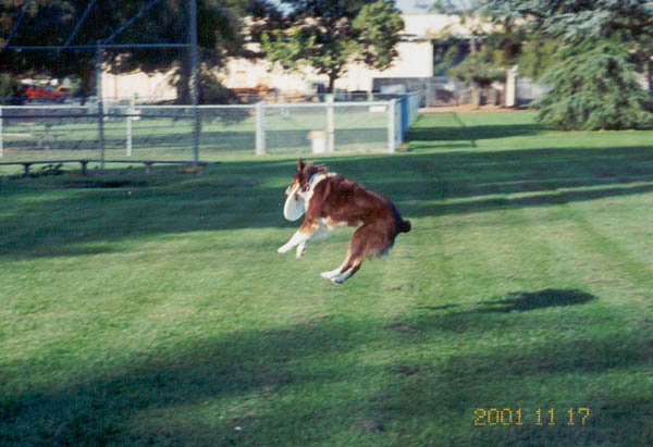 frisg1.jpg (Nov 2001)