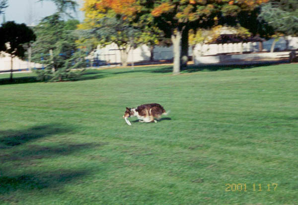 frisg2.jpg (Nov 2001)