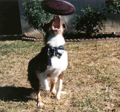 aaaaaaaaa (Aug 1999)