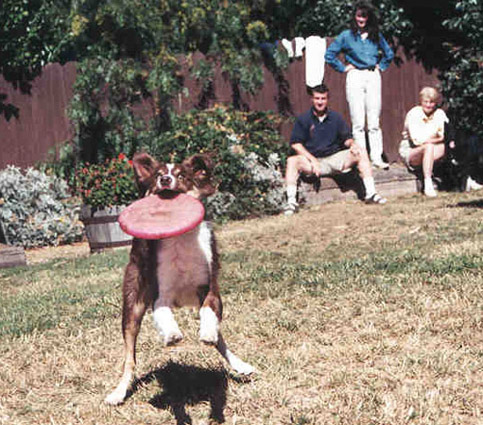 wild eyes (Aug 1999)