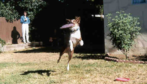 a single bound (Aug 1999)