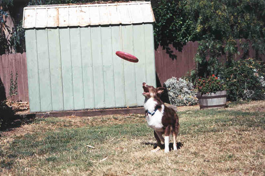 say aaaaa (Aug 1999)