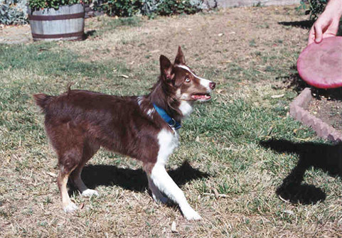 over here (Aug 1999)