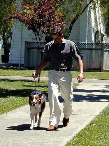 don't drop them (Apr 2000)