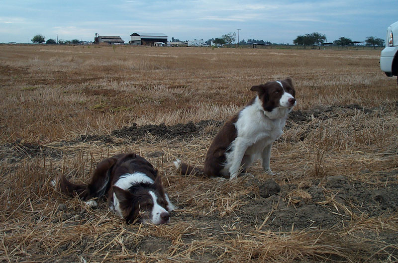 P1002034.jpg